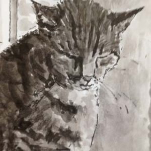 Boris the cat