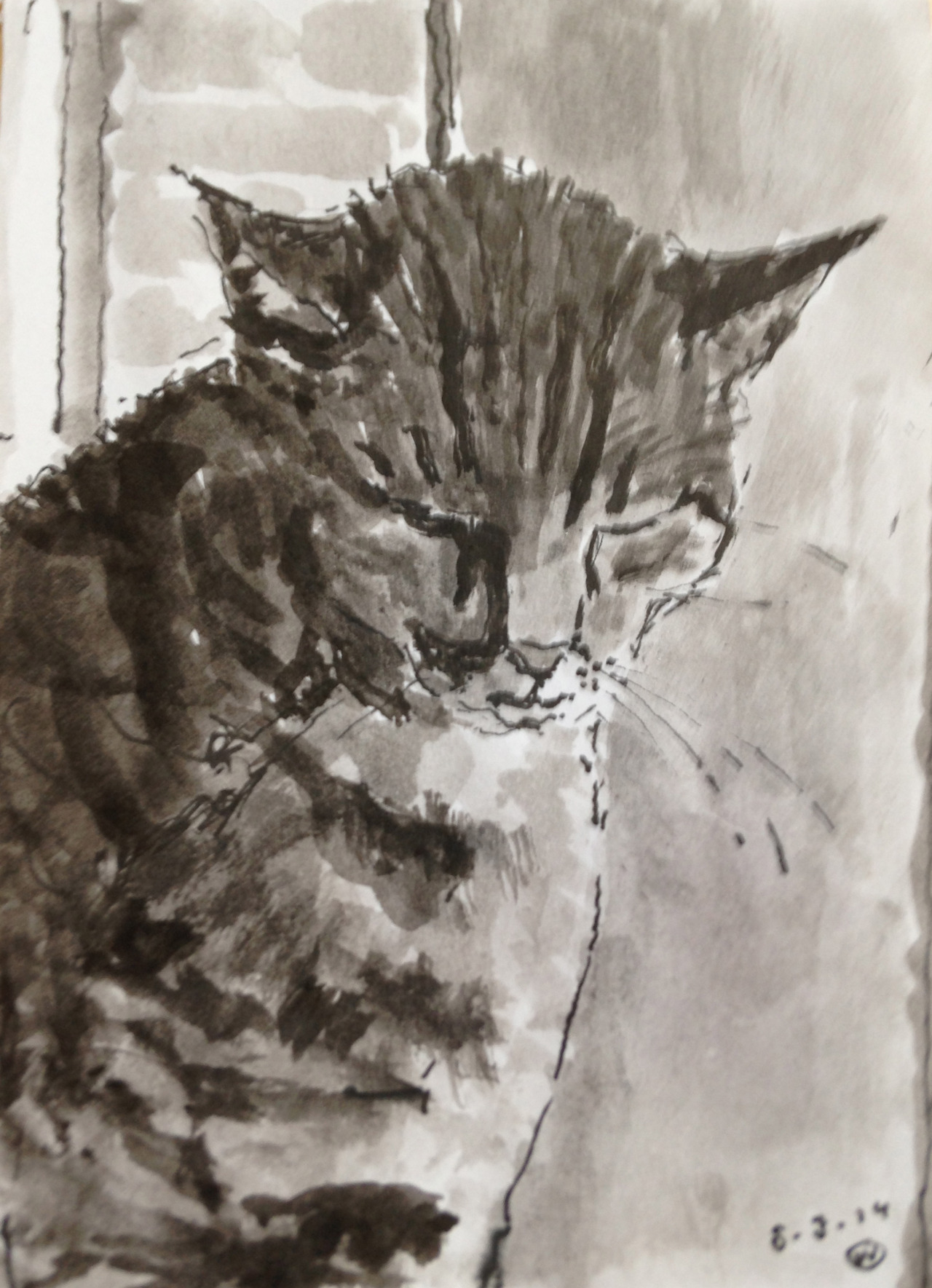 boris-the-cat-_-boris-de-kat