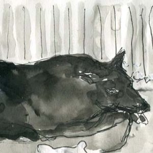 Lying dog