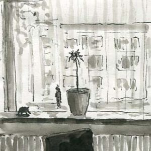 Very sad ugly plant (Amsterdam)