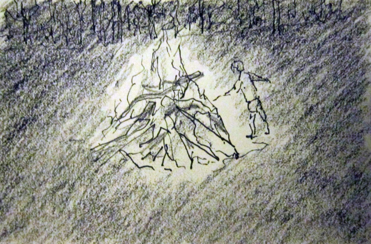 bonfire