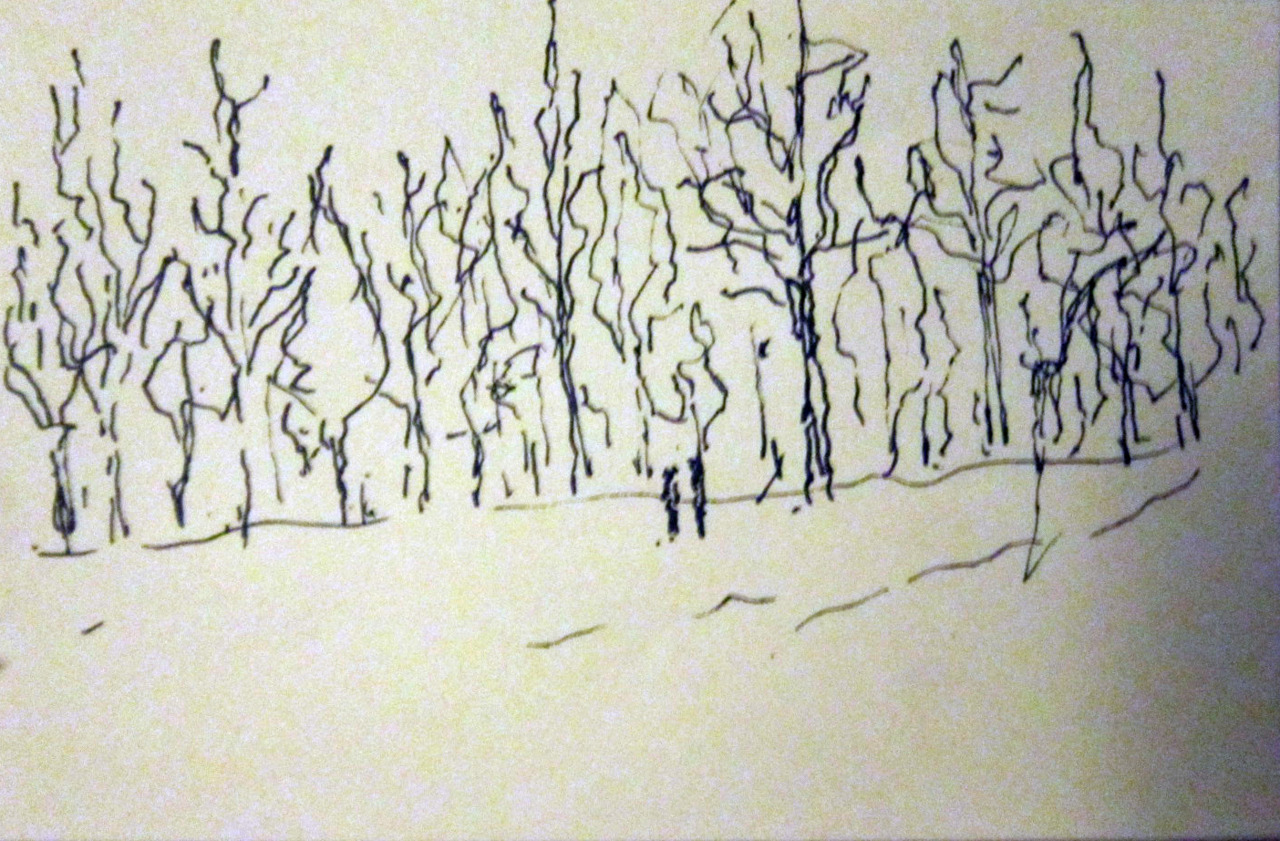 the-wood