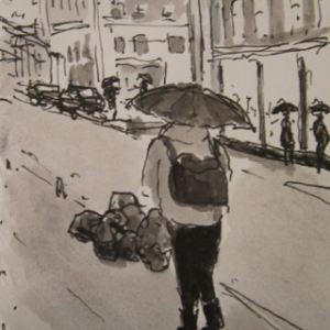 Rain and garbage (New York)