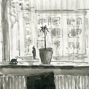 Very sad ugly plant